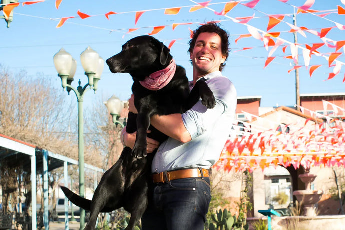 Corn-Free Dog Food: Why You Should Consider It
