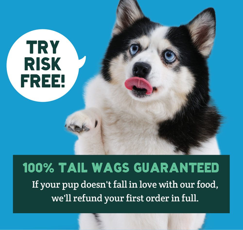 Chicka Chicka Bow Wow (3lb / 2 bags)